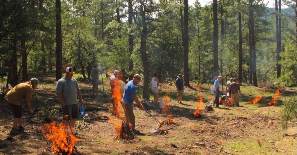 alss fire lighting survival school 1200x628